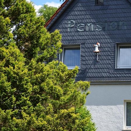 Pension Landhaus Machold Фридрихрода Экстерьер фото
