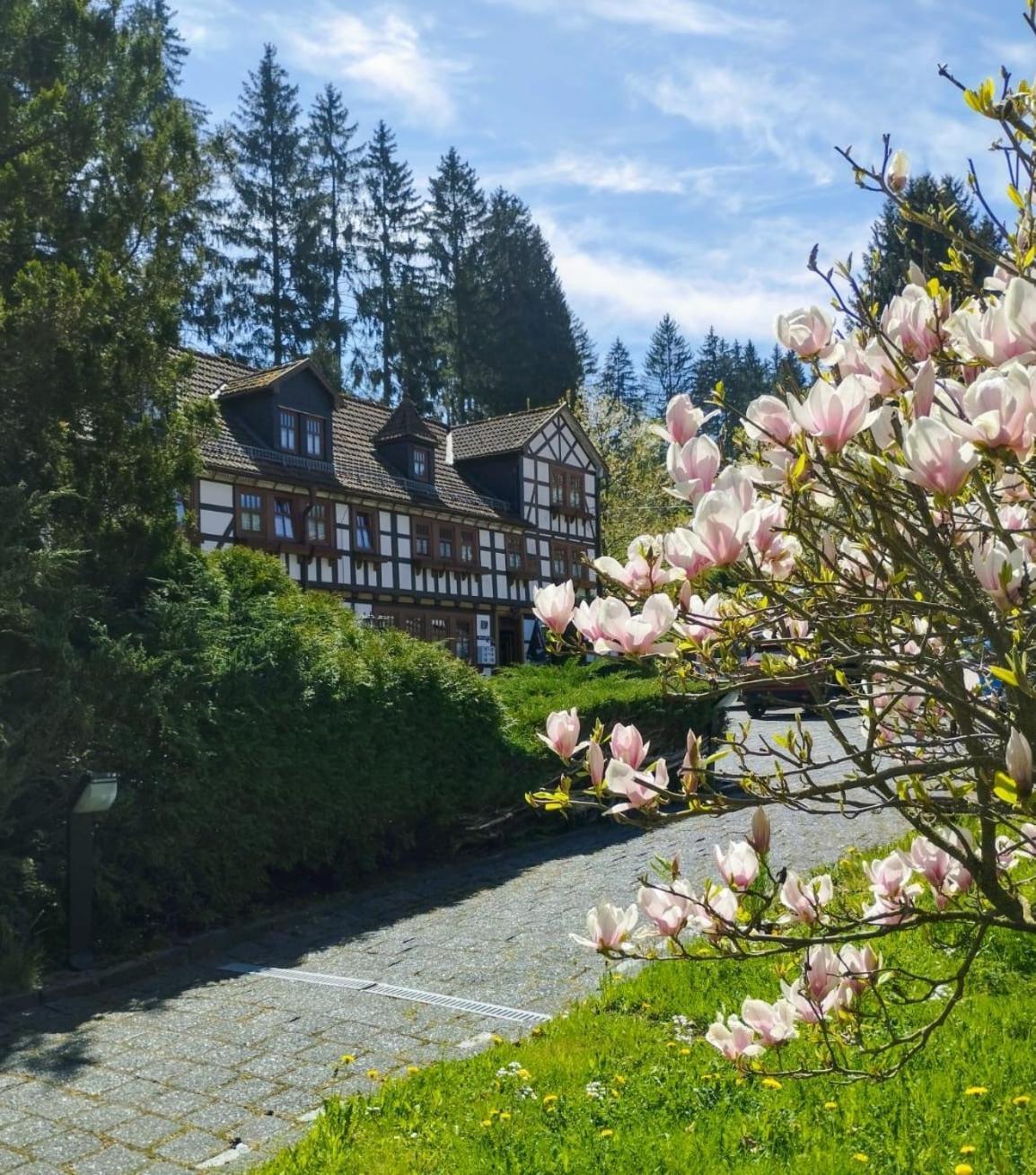 Pension Landhaus Machold Фридрихрода Экстерьер фото